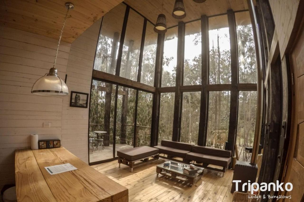 Tripanko Lodge & Bungalows Pichilemu Luaran gambar