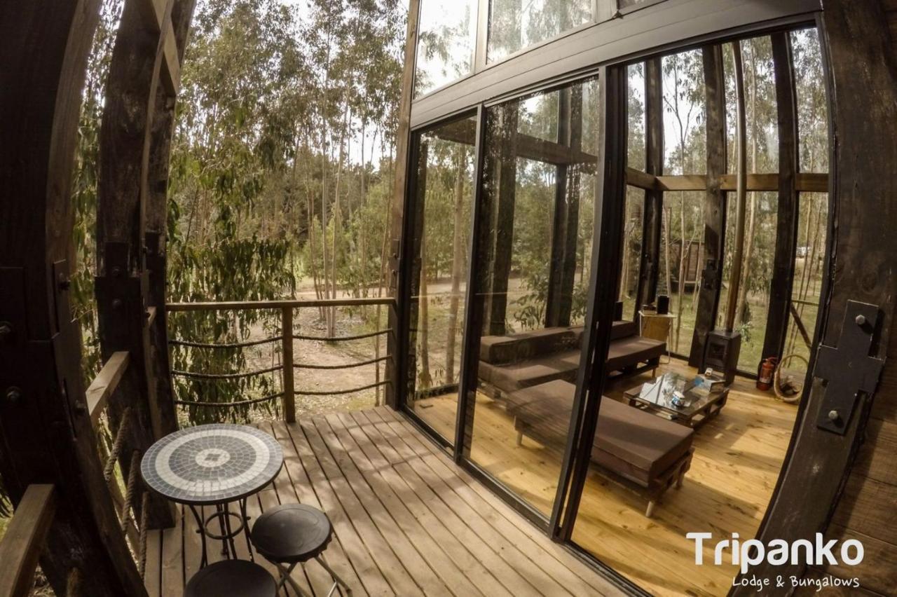Tripanko Lodge & Bungalows Pichilemu Luaran gambar