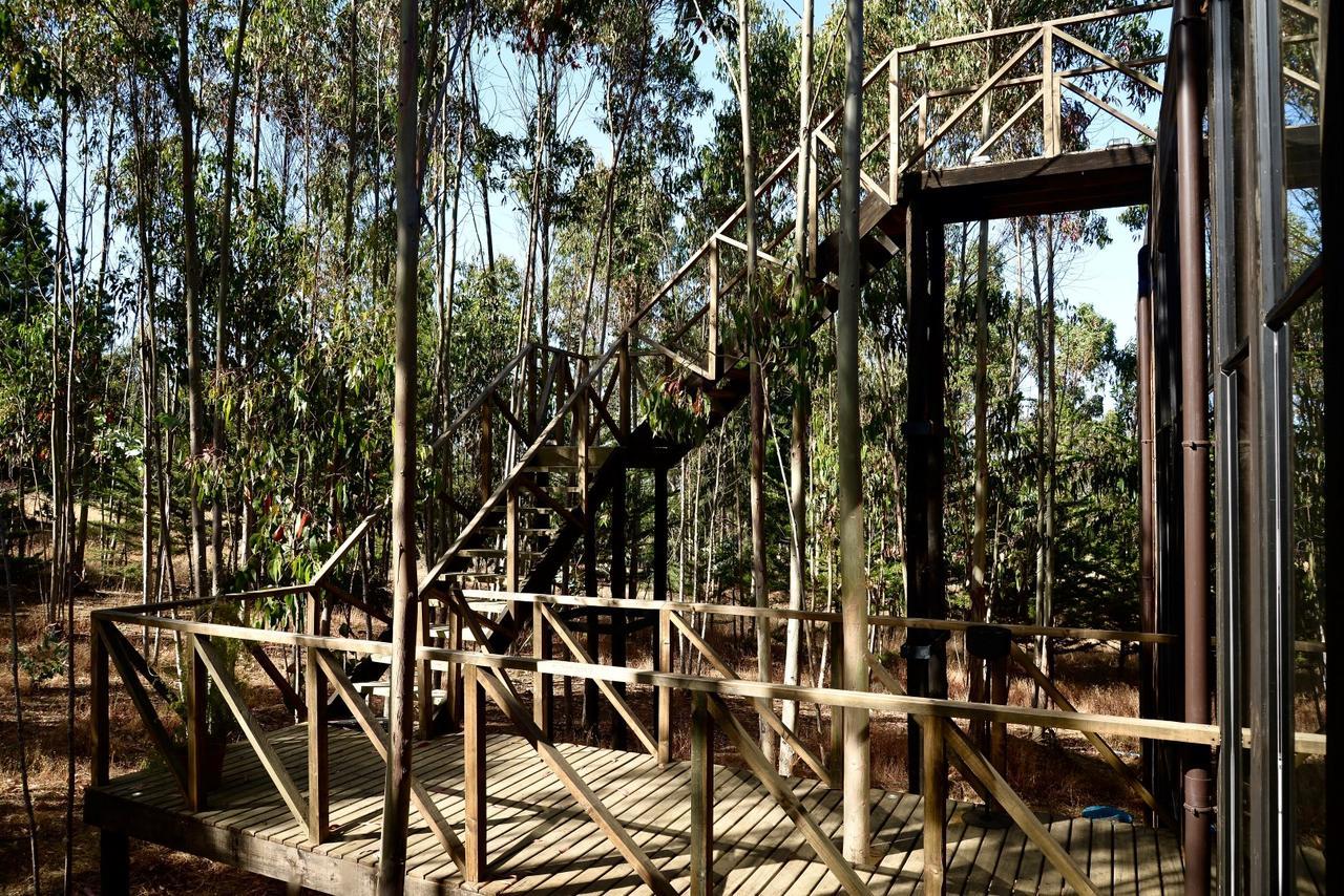 Tripanko Lodge & Bungalows Pichilemu Luaran gambar