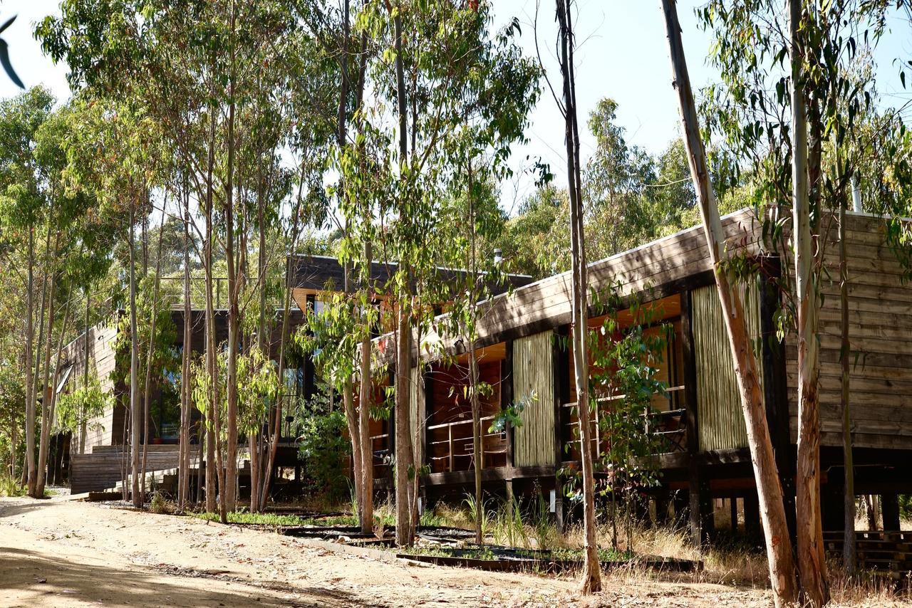 Tripanko Lodge & Bungalows Pichilemu Luaran gambar