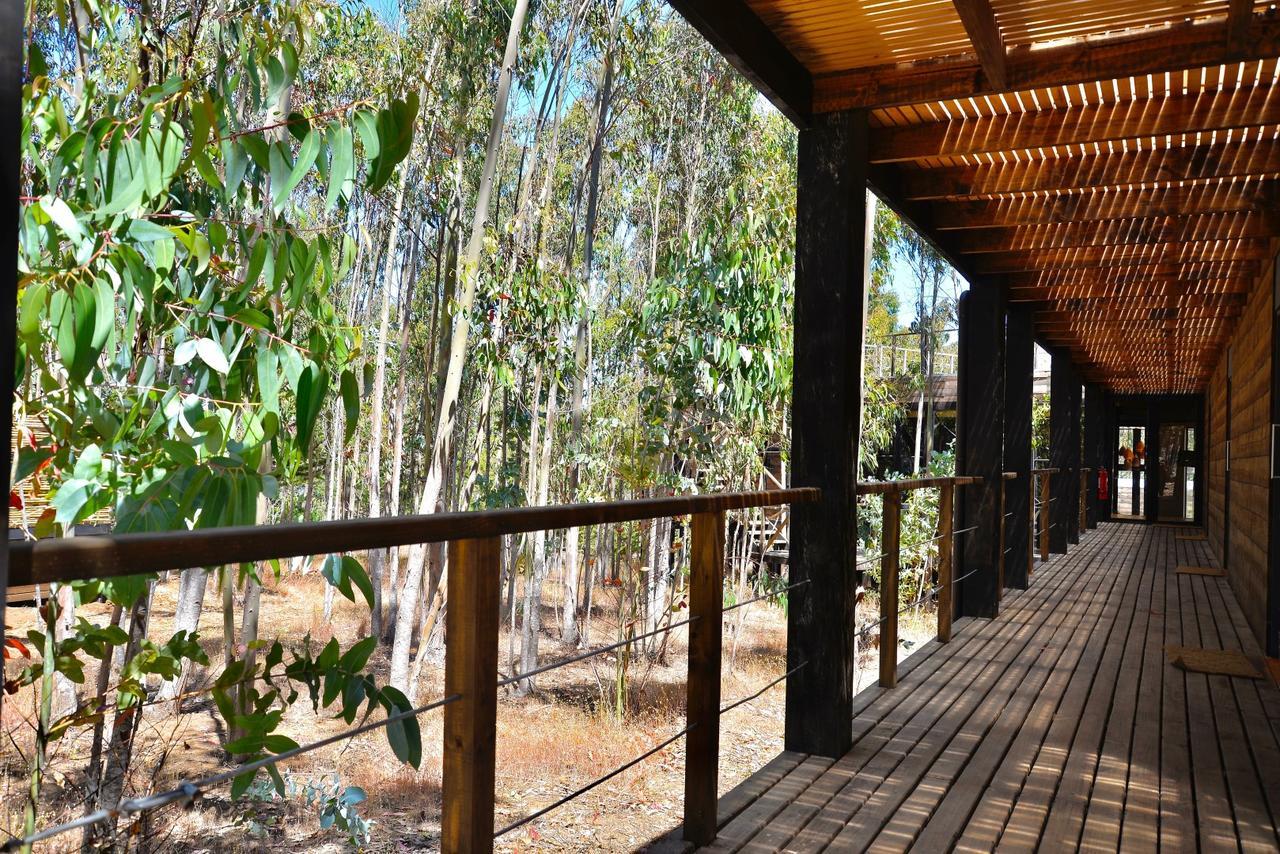 Tripanko Lodge & Bungalows Pichilemu Luaran gambar